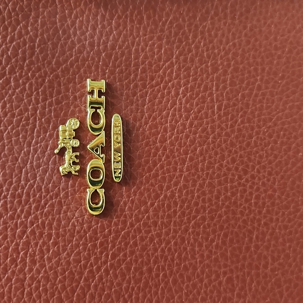 Coach Mollie Tote 25 Crossbody Bag - Picture 4 of 16